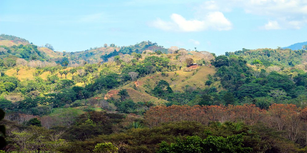 Landschaft Costa Rica Kunstdruck