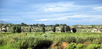 Landschaft-Mediterrane