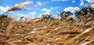 Wind-Landwirtschaft